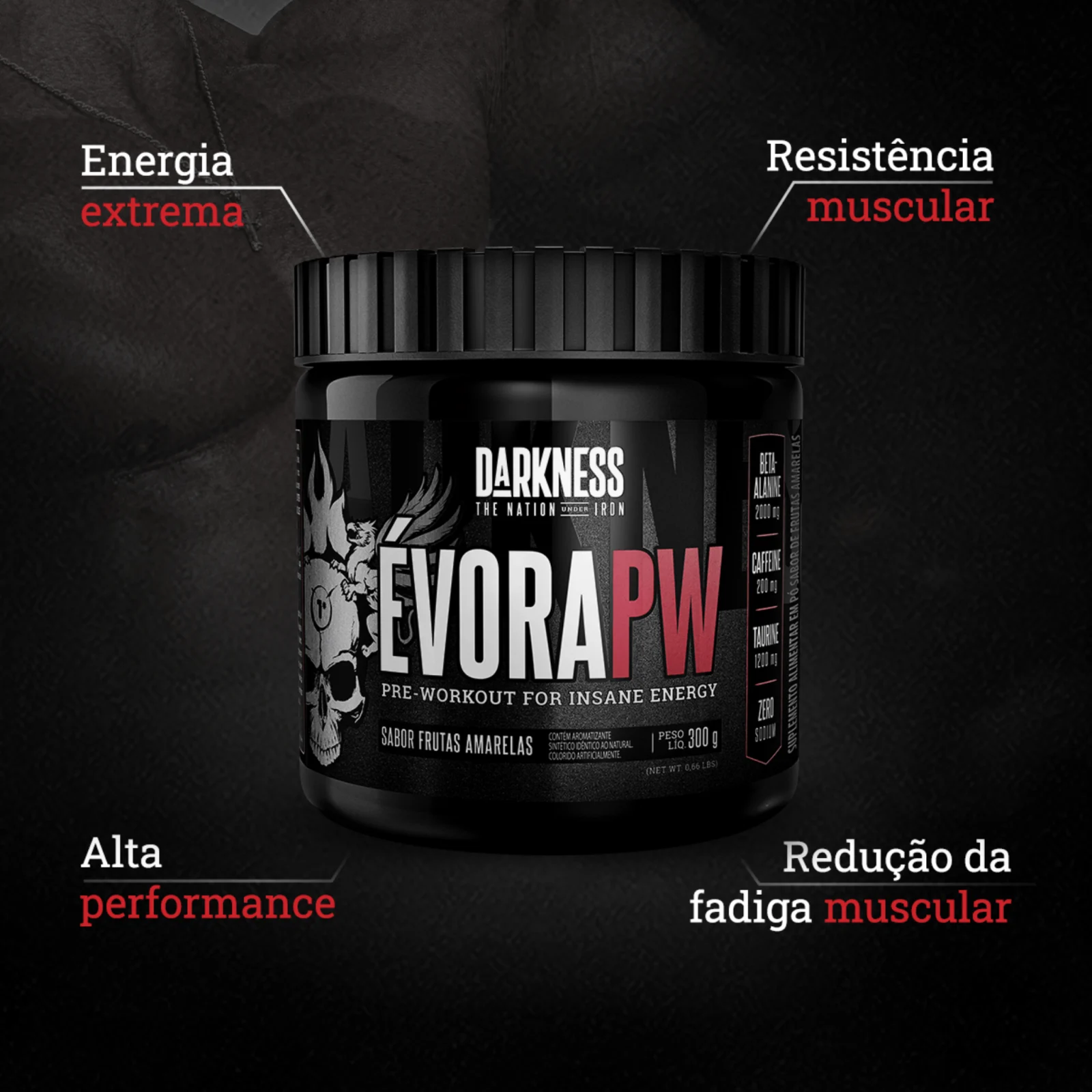 DK EVORA PW 300G